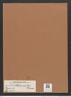 Navicula clementis Grun. (de-Toni-Nr.: Genus 1, Species 133) Zeichnungen Sammlung Grunow Mappe 00118 (Herbarium_W_Grunow_drawings_Folder_00118)